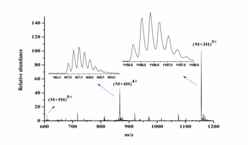Bioprotein analysis -- polypeptide composition analysis